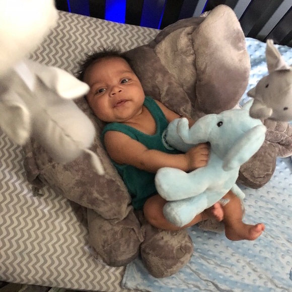 Meet your Posher, Isabella - Picture 3 of 3